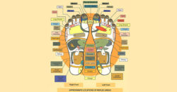 La Riflessologia Plantare: un trattamento per tutte le patologie