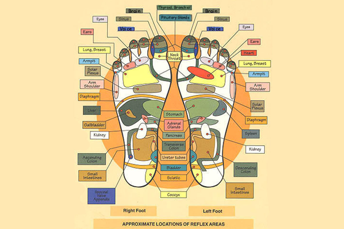 Mappa Riflessologia Plantare