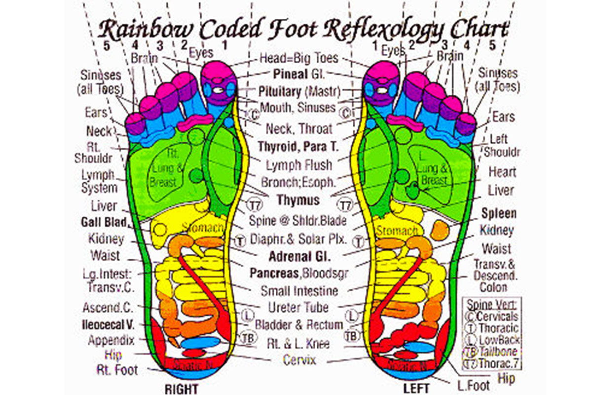 La Mappa per la Riflessologia Plantare