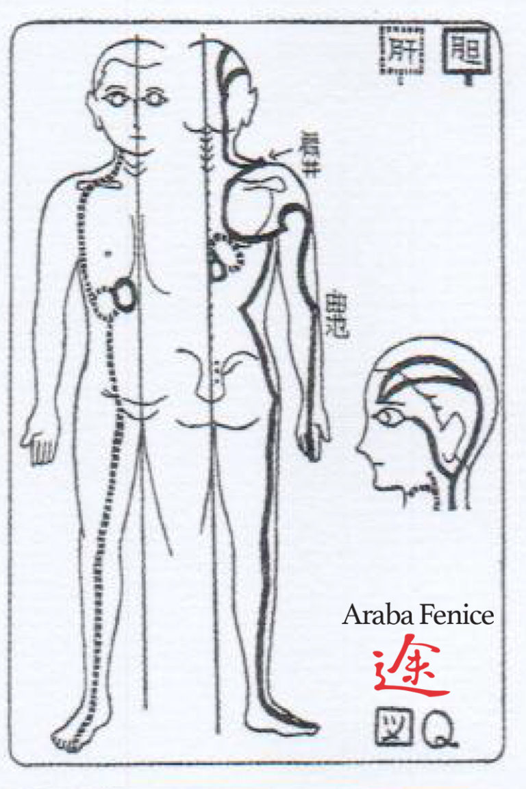 Percorso Rene E Vescica Funzione Di Vitalita E Di Purificazione