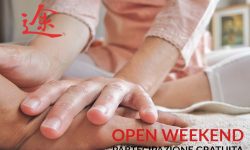 Open Weekend - Araba Fenice