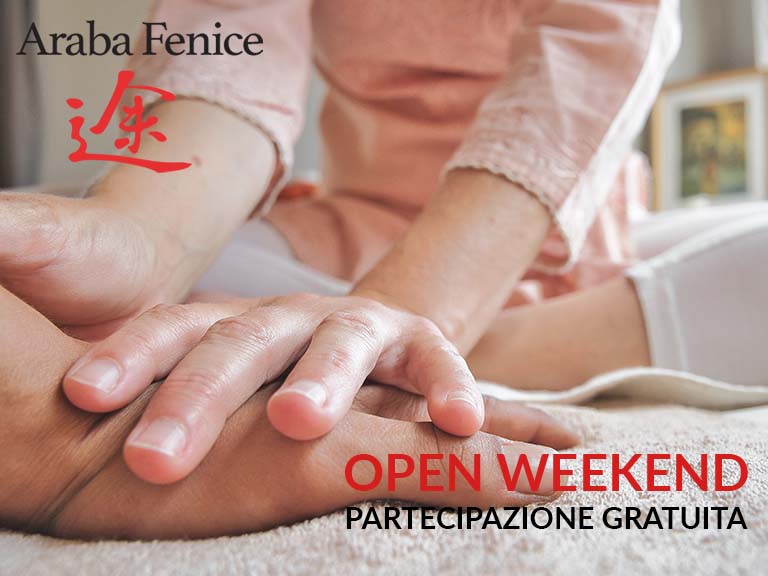 Open Weekend - Araba Fenice